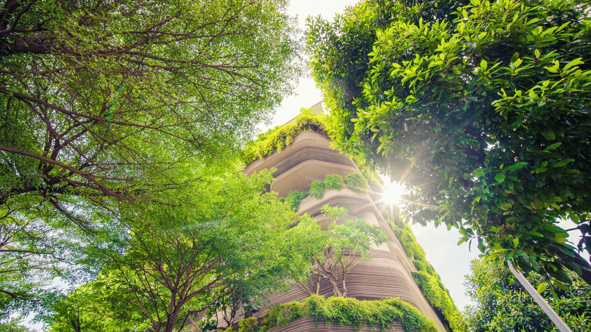 Edificio Green